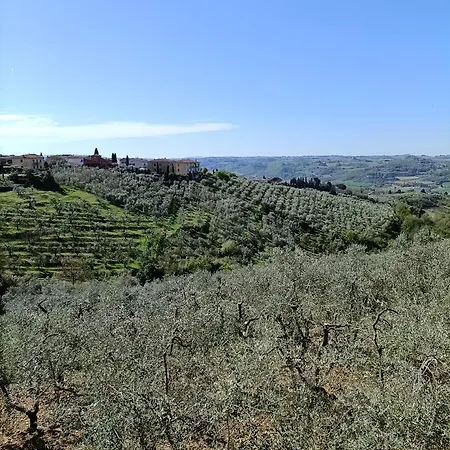 Chianti-home Palagione Holiday home *