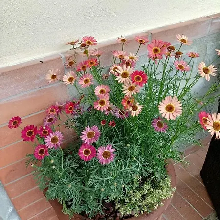 Holiday home Chianti-home Palagione Strada in Chianti